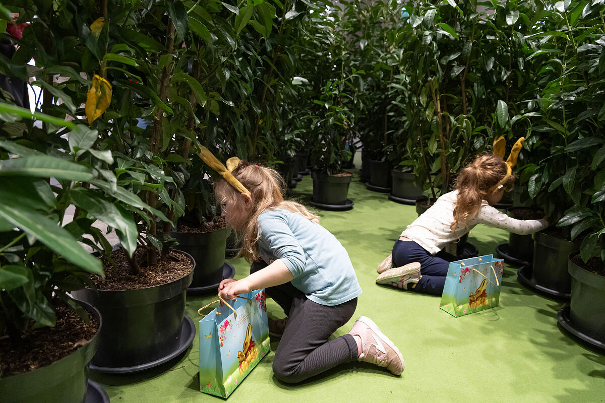 Bild 1_Das Lindt-GOLDHASEN-Labyrinth ist auch heuer wieder das Highlight in der Osterzeit im MURPARK