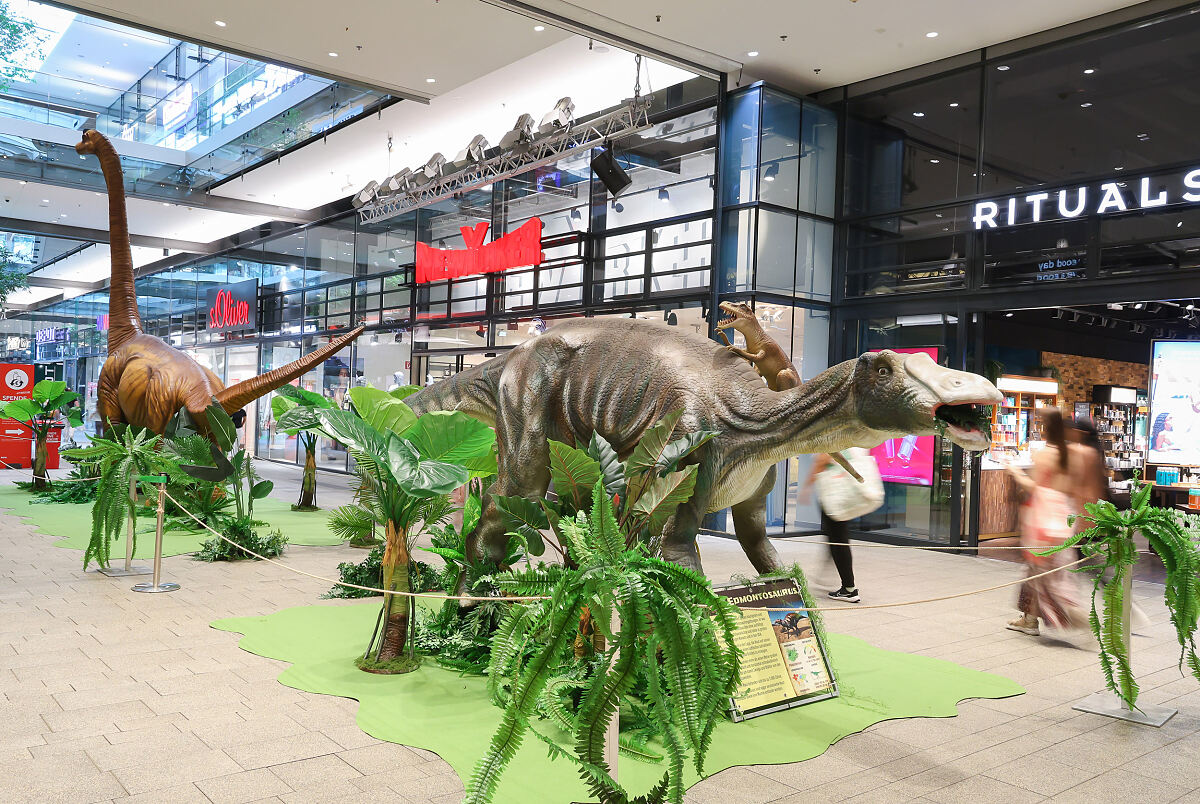 Bild 3_Zeitreise zu den Giganten der Urzeit