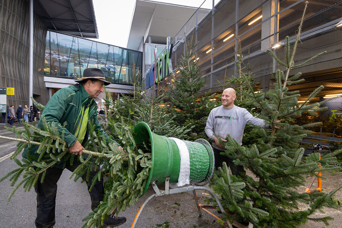 Bild 2_Verkauf heimischer Christbäume im MURPARK